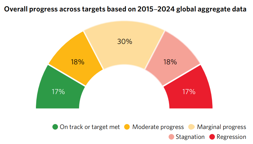 Progress on SDGs 2015-2024
